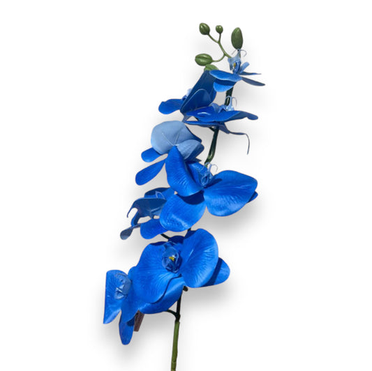 Ramo orchidee