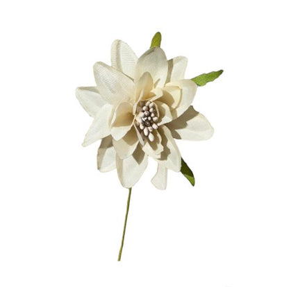 Dalia piccola 6cm (6pz)