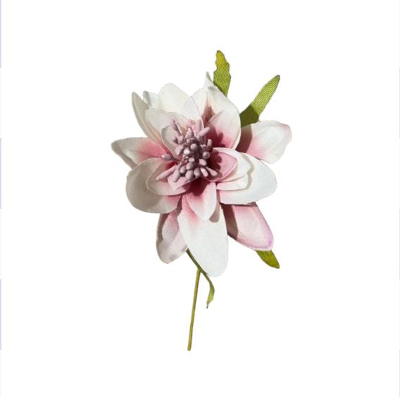Dalia piccola 6cm (6pz)