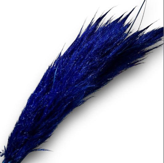 PAMPAS LUNGA COLORATA (6pz)