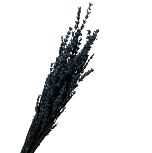 Lavanda stabilizzata