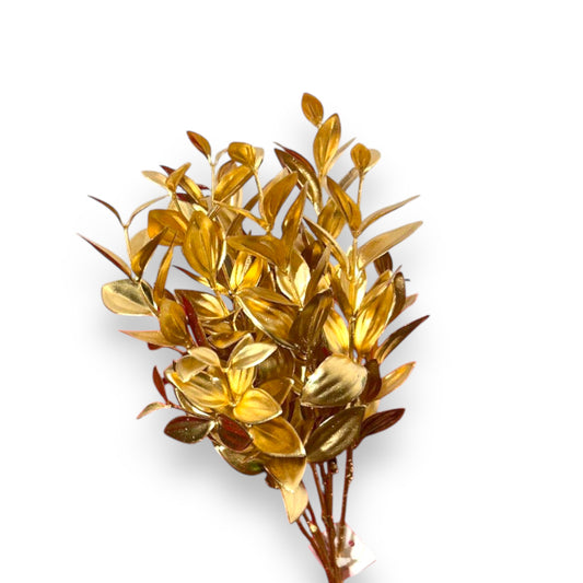Bush fo. Ruscus