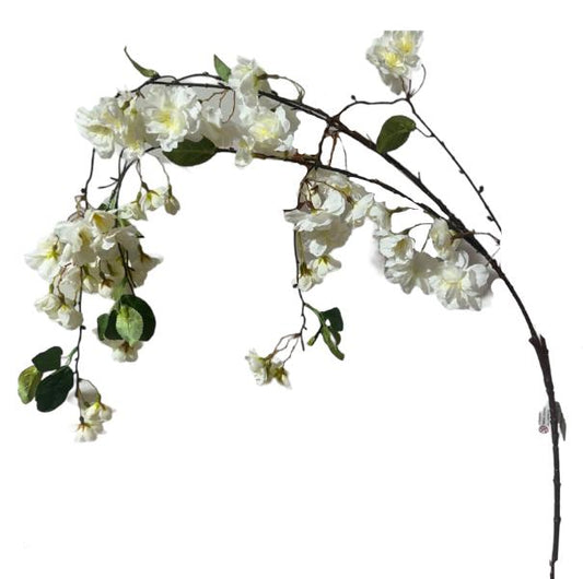 Prisco cadente 150cm