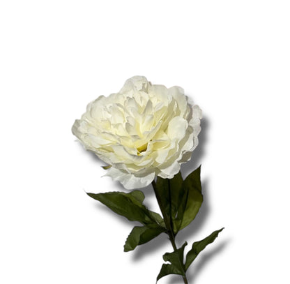 Single peony spray 70cm