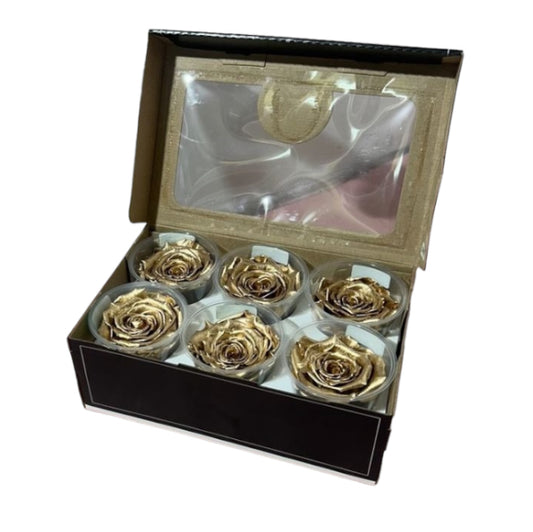 Rosa x6 oro stabilizzata