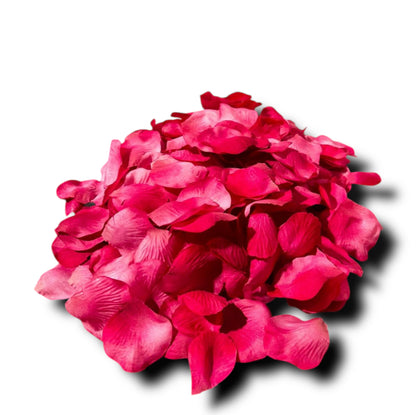 300pz petali di rosa