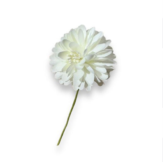 Fiore Bon Bon d.5cm (6pz)