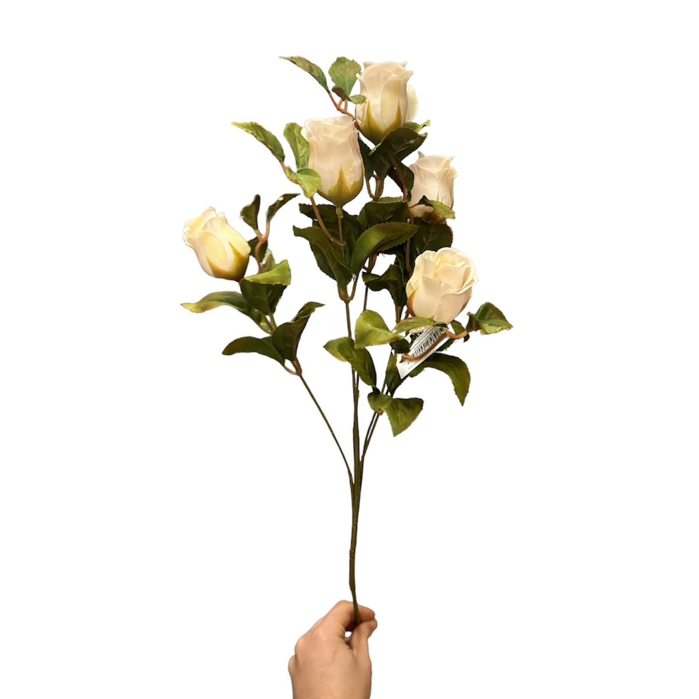 Rose bud spray 12