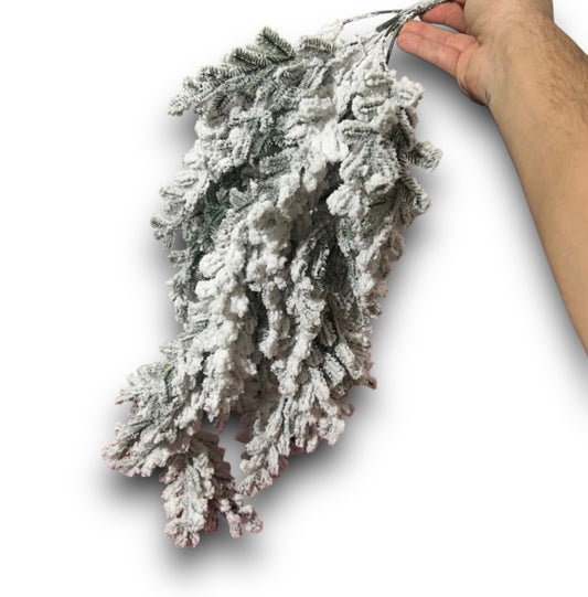 Cascante Winter Majesty Innevato – 70 cm