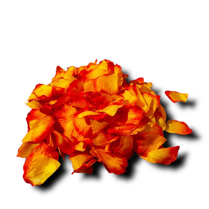 300pz petali di rosa