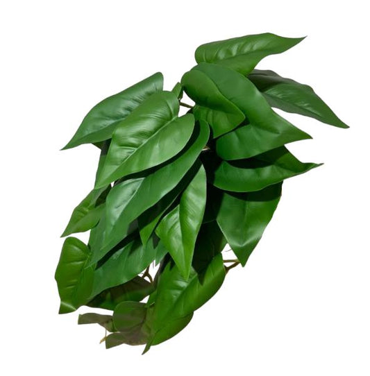 Cascante caladium 45cm