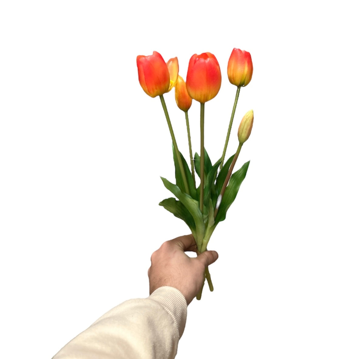 Fascio tulipani