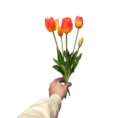 Fascio tulipani