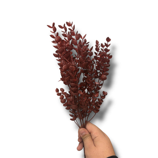 Eucalyptus fern bush