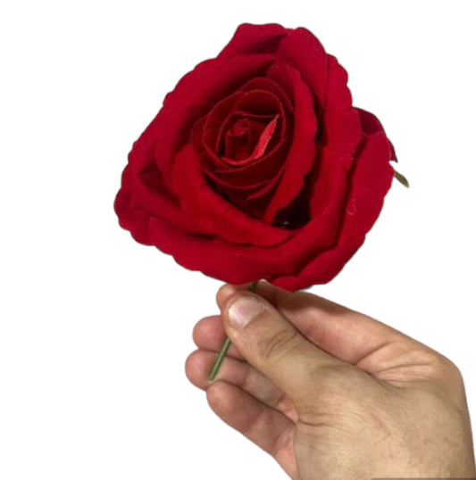 Rametto rosa 8/9cm (12pz)