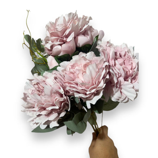 Bush peonie