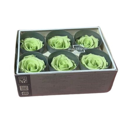 Rose stabilizzate (6pz)
