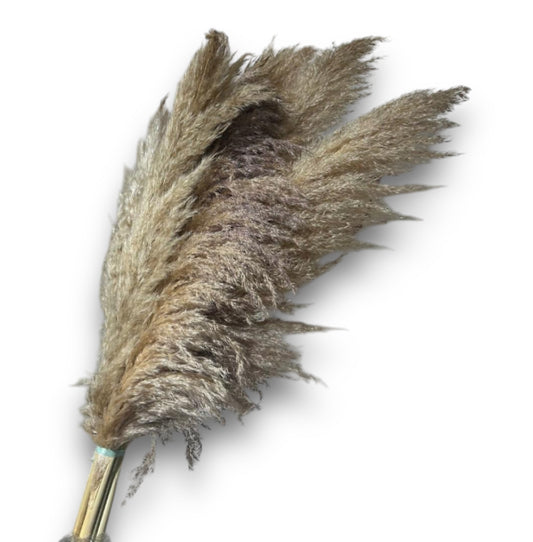 RAMO PAMPAS DECORATIVO (6pz)