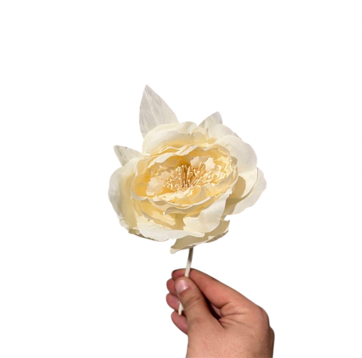 Pick Peonia D.11cm (12pz)