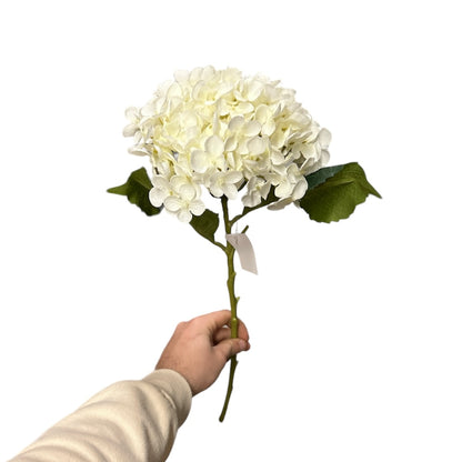 Ortensie - Mamà Lah
