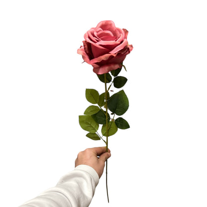 Rose singole