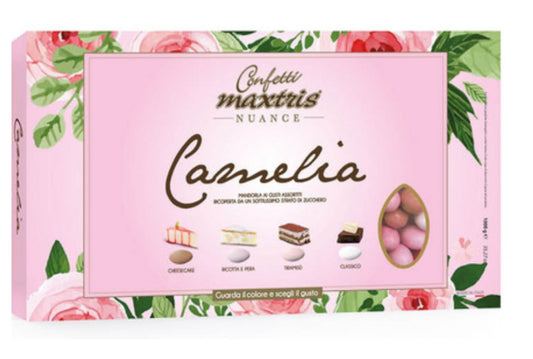 Confetti maxtris nuange 1000gr