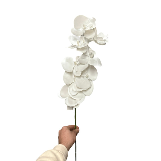 Phalaenopsis total white
