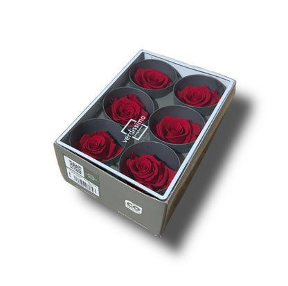 Rose stabilizzate standard 6pz