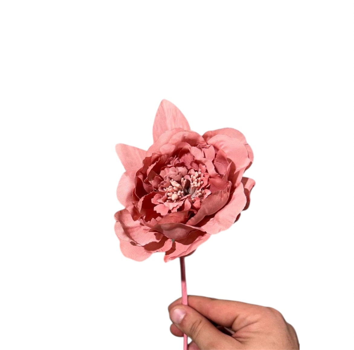 Pick Peonia D.11cm (12pz)