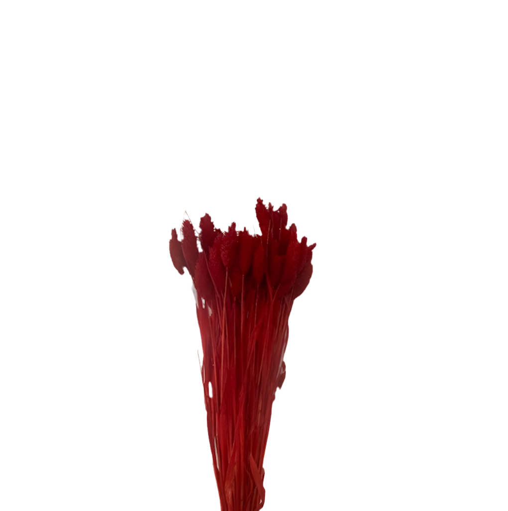 Poa 100gr