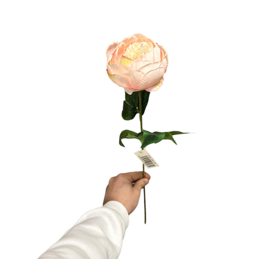 Peonia singola - Mamà Lah