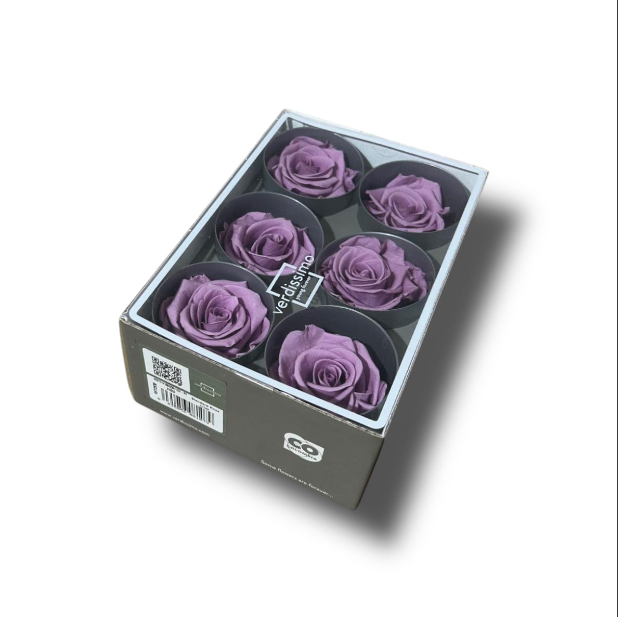 Rose stabilizzate standard 6pz