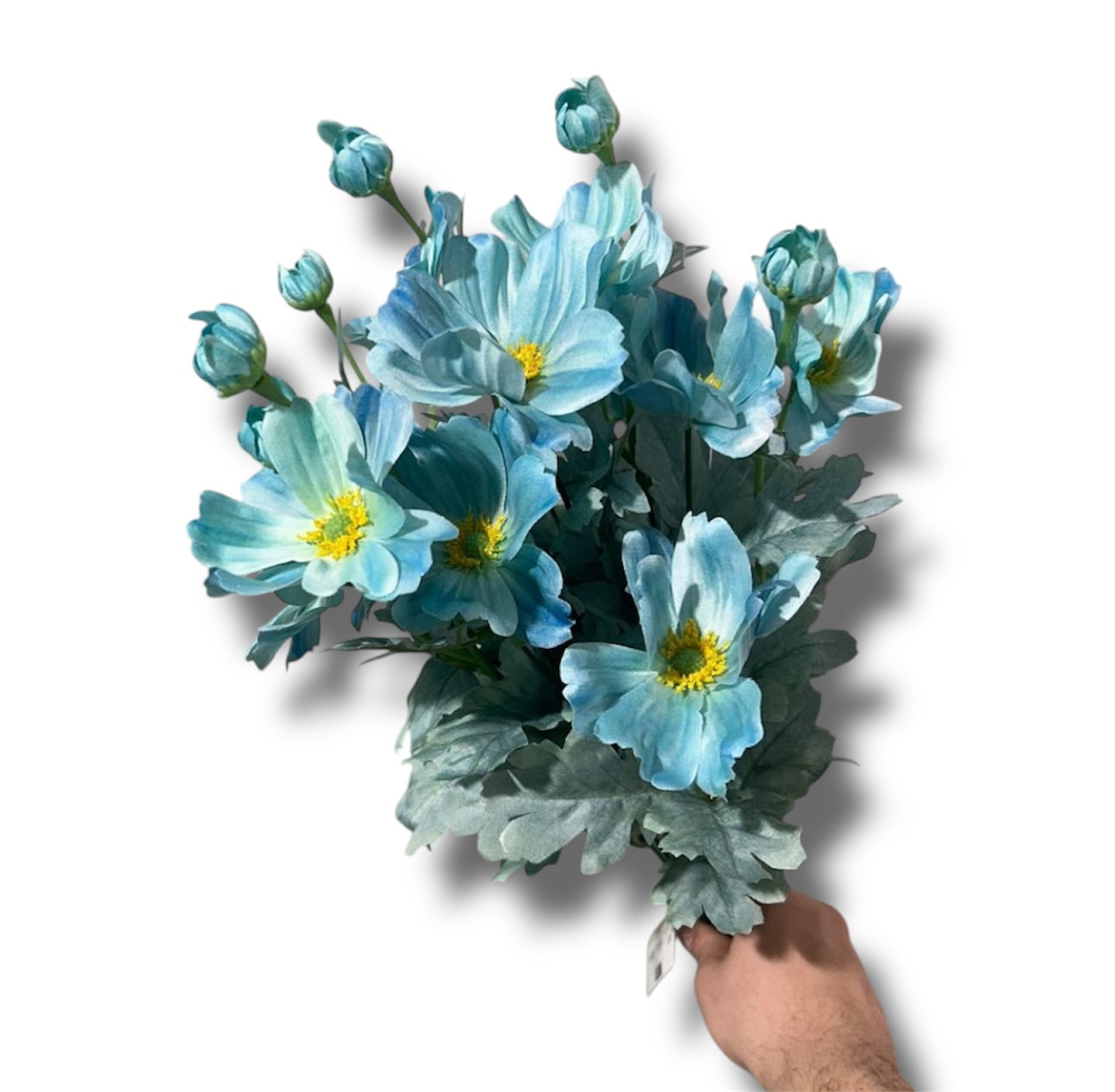 Cosmos bush 58cm