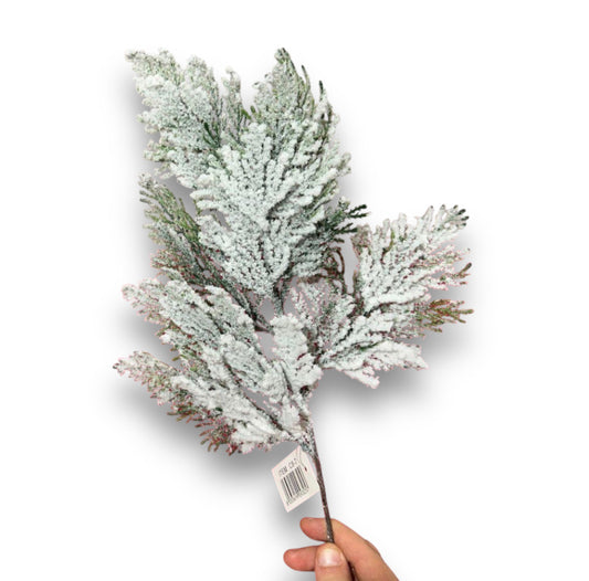 Pick fo.tuja con neve