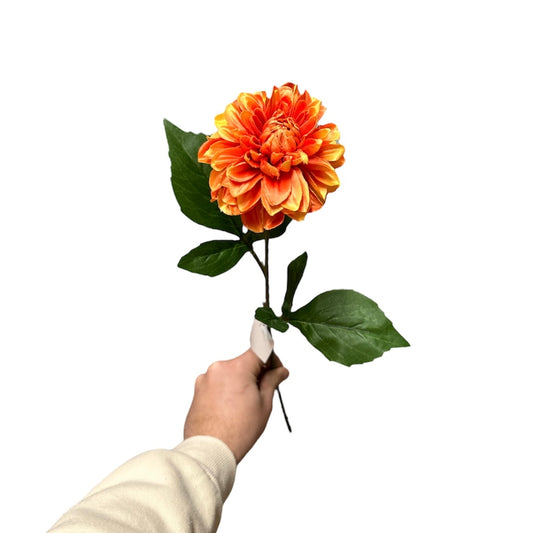 Single dahlia spray