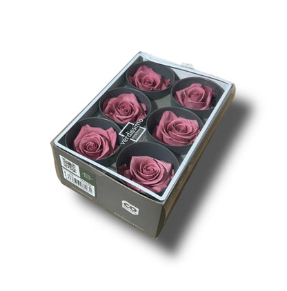 Rose stabilizzate standard 6pz