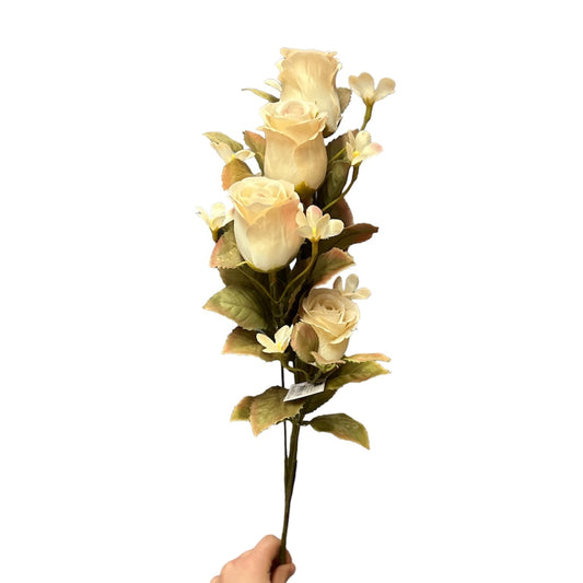 Rose bud