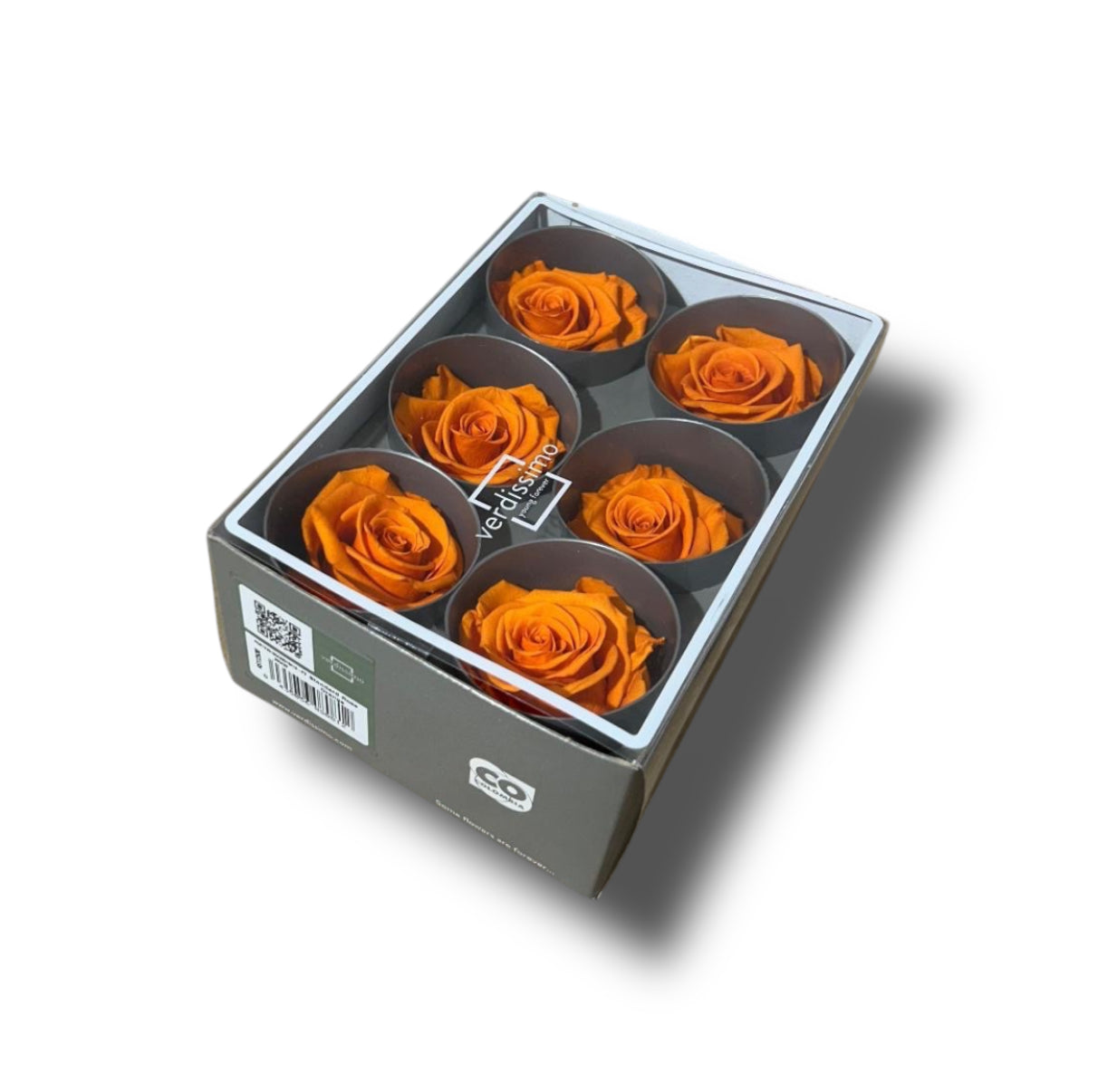 Rose stabilizzate standard 6pz