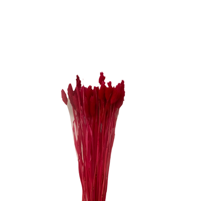 Poa 100gr
