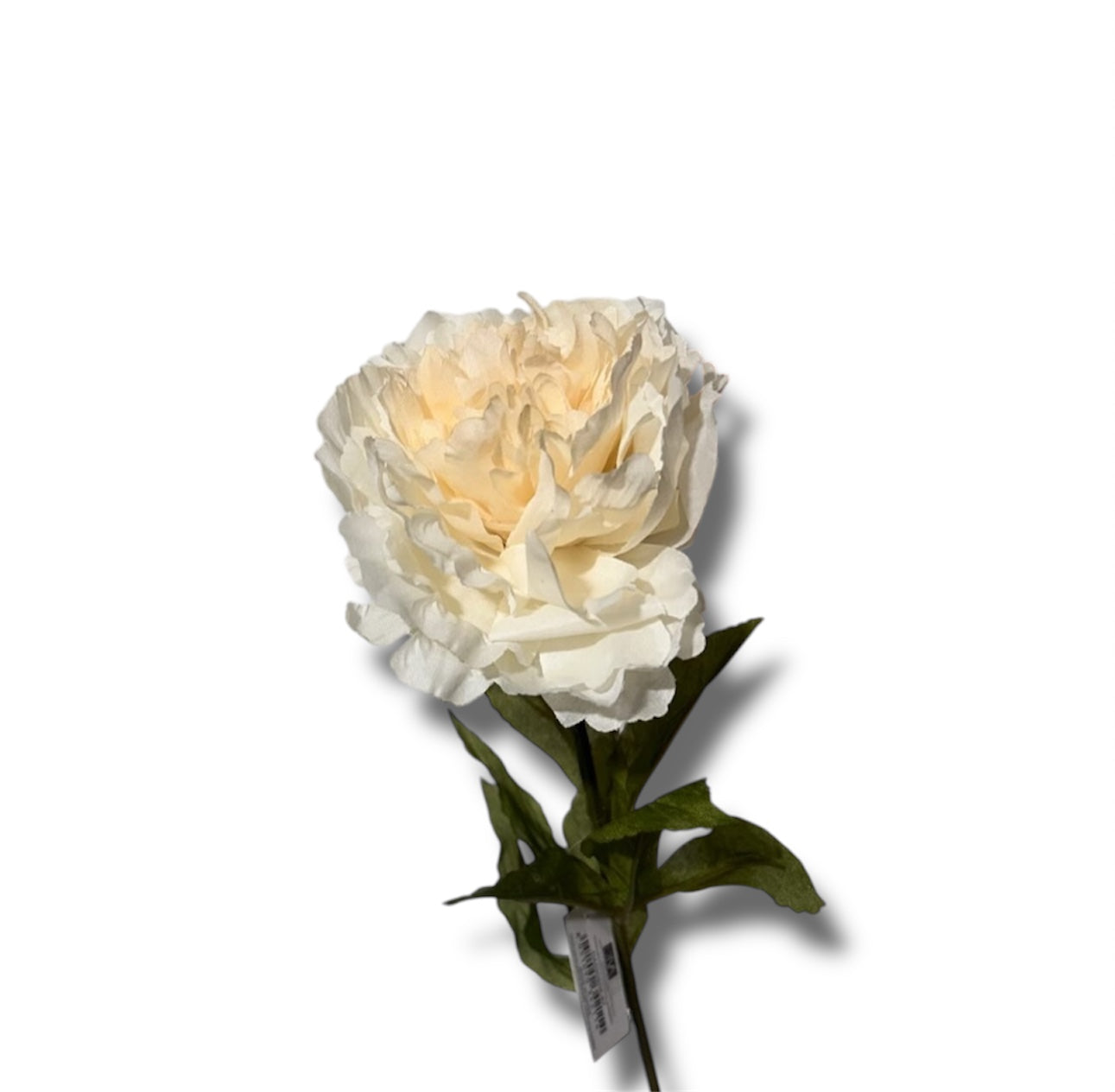 Single peony spray 70cm