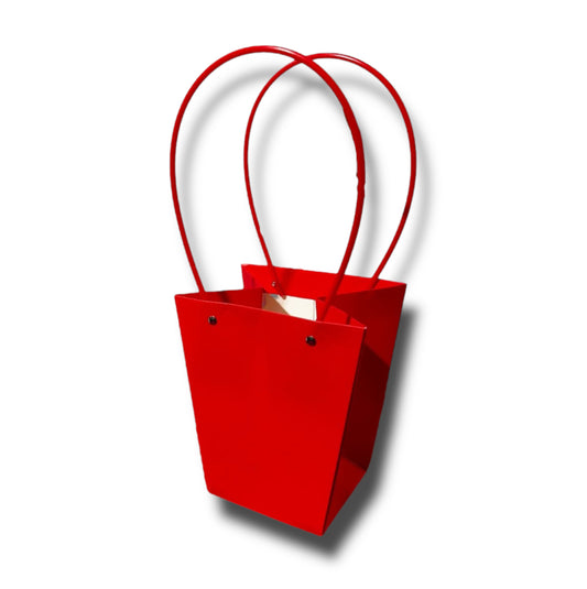 Buste carta con manico 17x20/40cm (12pz)