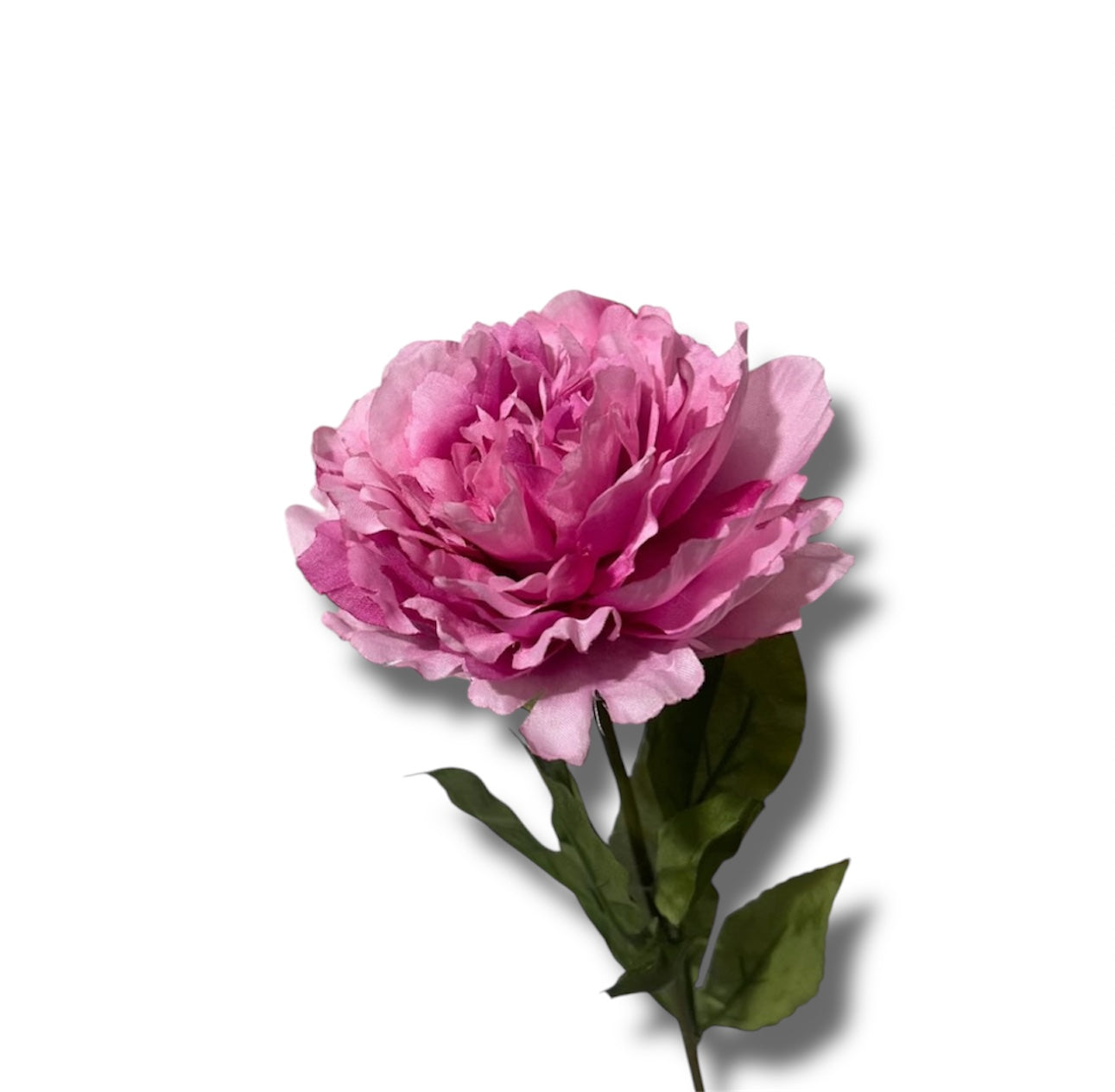 Single peony spray 70cm