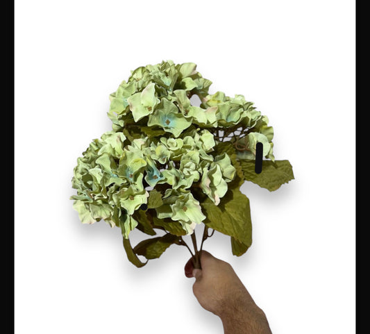 Hydrangea bush x5 45cm