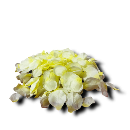 300pz petali di rosa