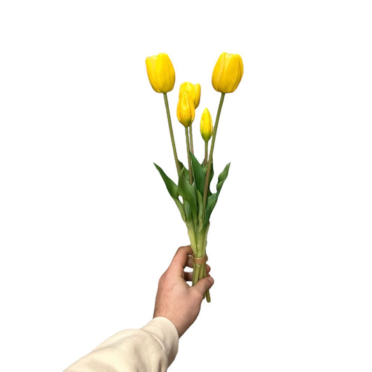 Fascio tulipani