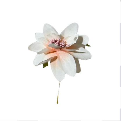 Dalia piccola 6cm (6pz)