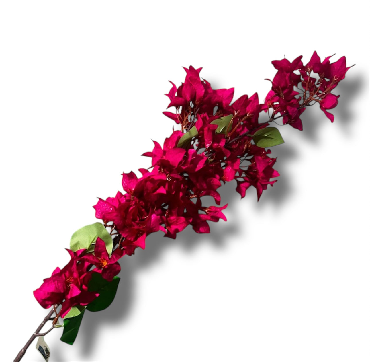 Ramo bougainvillea 118cm