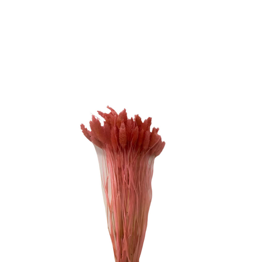 Poa 100gr