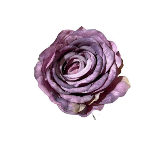 Rose single stem 11x11x19cm (12pz)