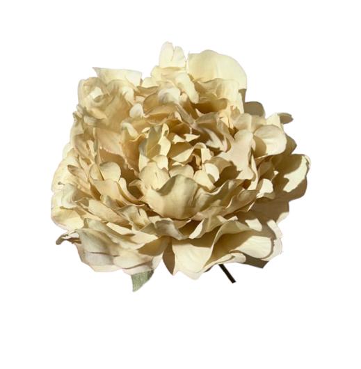 Peony single stem 13x13x16cm